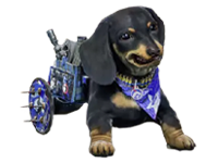 Libertad Pack DLC