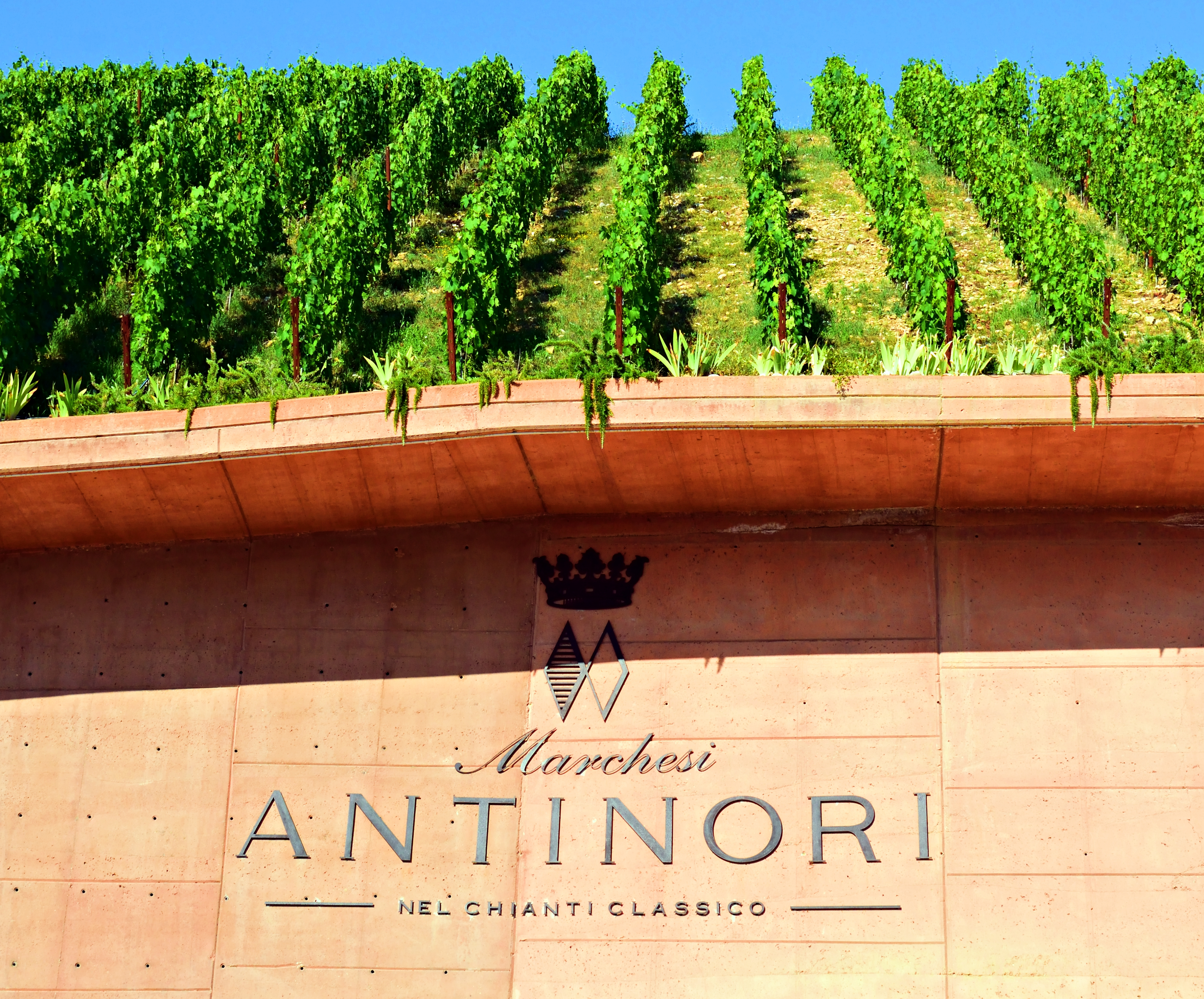 Antinori | Italiaanse wijn | Your Wine Online