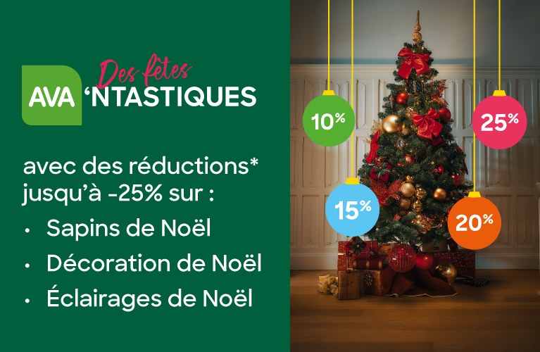 pas de souci, votre sapin sera réussi