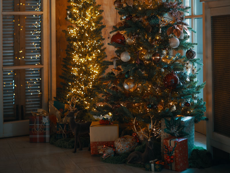 kersttrend magic forest