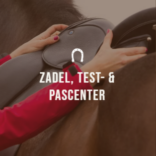 zadel test en pascenter