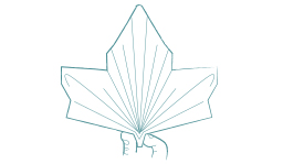 Vouwtechniek Tropical Leaf stap 8 Vouwtechniek Tropical Leaf stap 8
