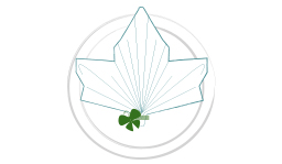 Vouwtechniek Tropical Leaf stap 9 Vouwtechniek Tropical Leaf stap 9