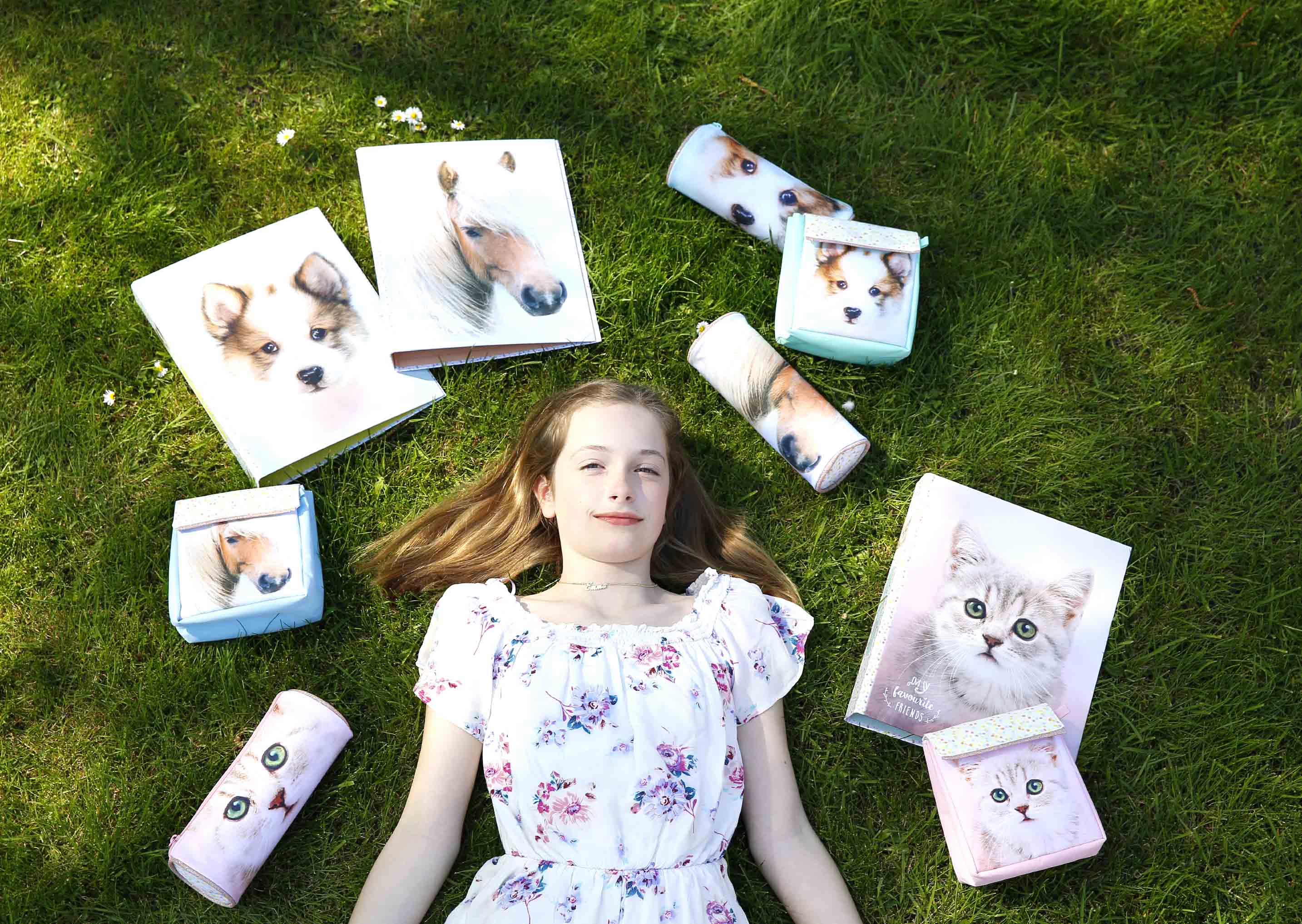 schoolspullen met paard hond kat