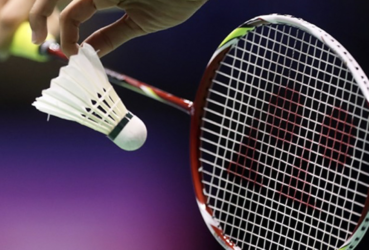 Badminton Sportline