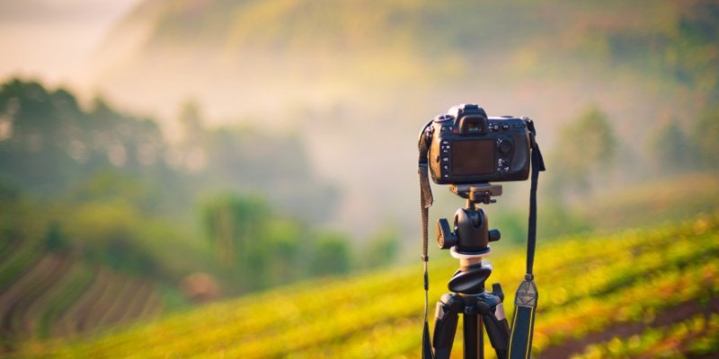 Lexicon van de fotograaf: scherptediepte scherptediepte