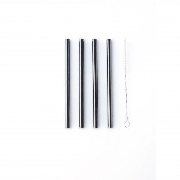 POINT VIRGULE Rietjes Cocktail RVS 14cm Zwart 4 Stuks Met Reinigingsborstel