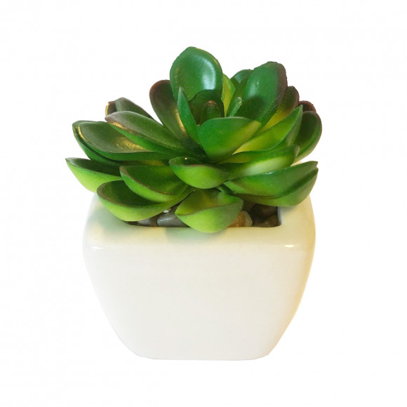 AVA selection Succulent Plastique Dans Pot 5x5x6,5cm Vert Avec Petite Feuille Ronde Vert