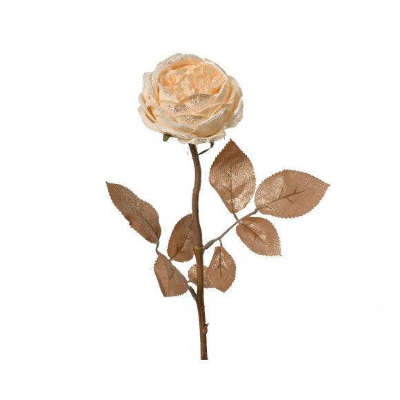 AVA selection Rose Sur Tige Champagne H 57cm Ø 9,5cm Autres