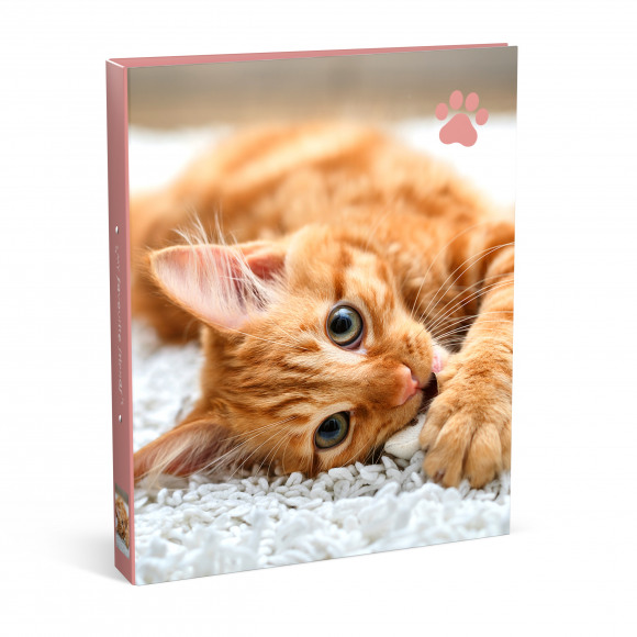AVA selection Farde My Favourite Friends Chat Rose A4 2 Anneaux