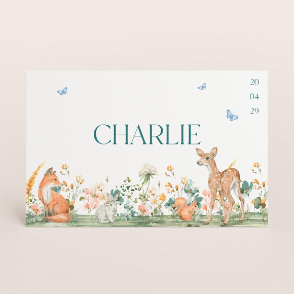 MIJN ONTWERP Lief geboortekaartje bloemen en bosdieren 1Size