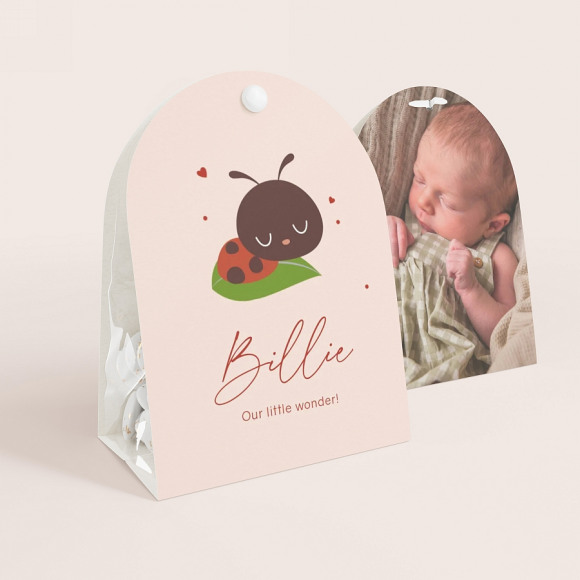 MAAK JE ONTWERP Contenant à dragées baptême coccinelle et photo 1Size