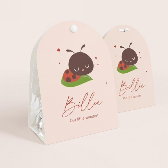 MAAK JE ONTWERP Afgerond snoepzakje met naam en lieveheersbeestje 1Size
