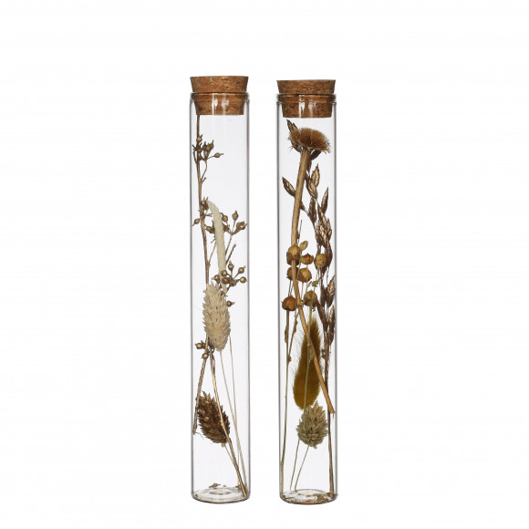 AVA selection Tube Avec Fleurs Séchées Naturel H 20cm Ø 3cm 1 Pièce Brun