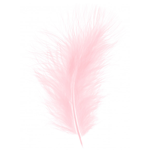 AVA essentials Plumes Rose +/- 25 Pièces