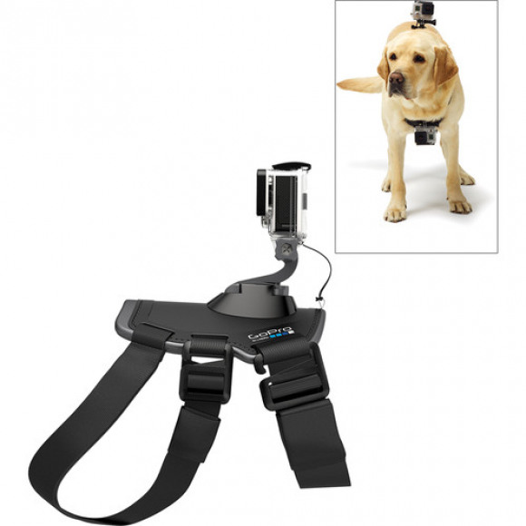 GoPro ADOGM-001. Type product: Camera-hondenharnas, Bevestigbaar op: Hond, Kleur van het product: Zwart