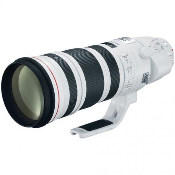Canon EF 200-400mm f/4.0 L IS USM Extender 1.4x