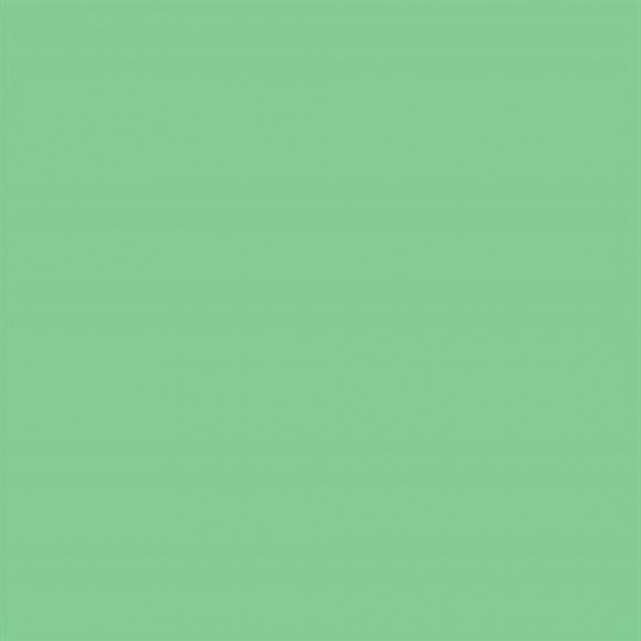 FALCON EYES  Achtergrondpapier 73 Summer Green 1,35x11m