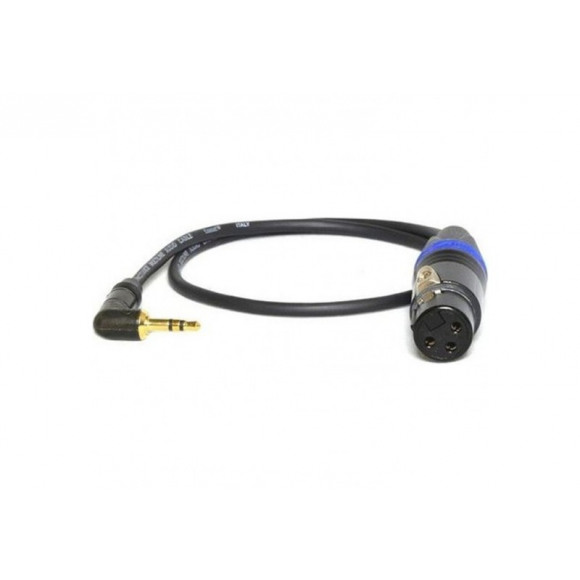 PEPPERCABLE  CAY1 XLR Female - 3.5mm Mini Stereo Jack Cable 40cm