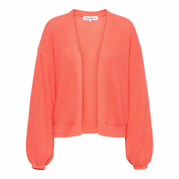 &Co - Oranje Vestje effen Oranje 3XL
