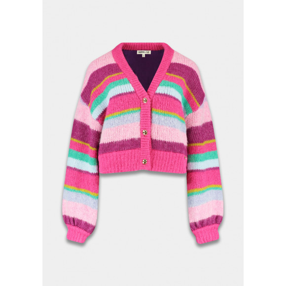 Harper & Yve - Roze Vest streep Roze M - Maat M