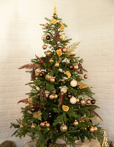 Emploi Sapin De Noel Paquets De Noel Prets A L Emploi Pour Le Sapin Ava Be Emploi Sapin De Noel Paquets De Noel Prets A L Emploi Pour Le Sapin Ava Be