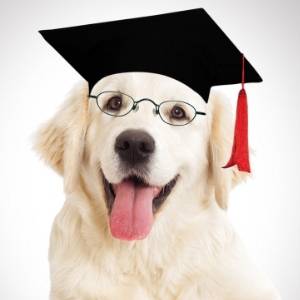 Natura Diet Volwassen Honden Natura Diet Volwassen Honden
