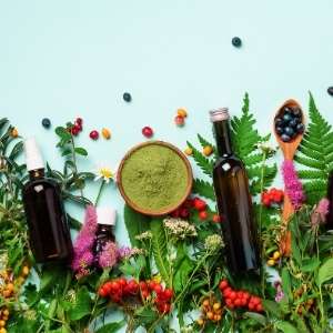 Natuurlijke supplementen vlooien Natuurlijke supplementen vlooien