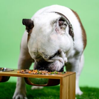 Geloofsbelijdenis ideologie Ongeldig Lewis Natural Petfood - Voedingsadvies Voor Uw Hond Op Maat