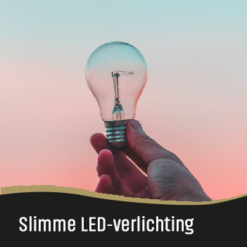 Heel de site van JAVA Koffie in Rotselaar is uitgerust met LED verlichting. Heel de site van JAVA Koffie in Rotselaar is uitgerust met LED verlichting.