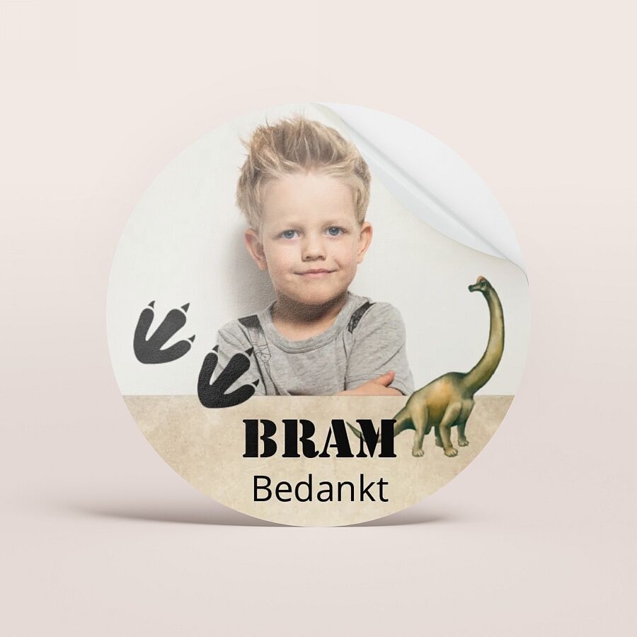 8 stuks dino-uitsteekvormpjes, roestvrij staal, dino-uitsteekvormpjes