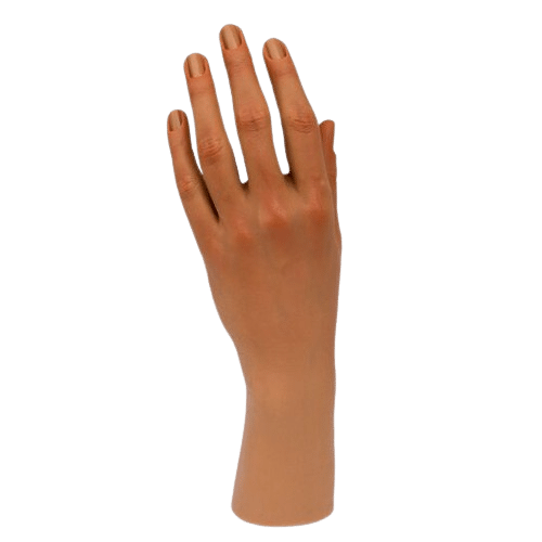 Full Hand - LifeLike - Poseable