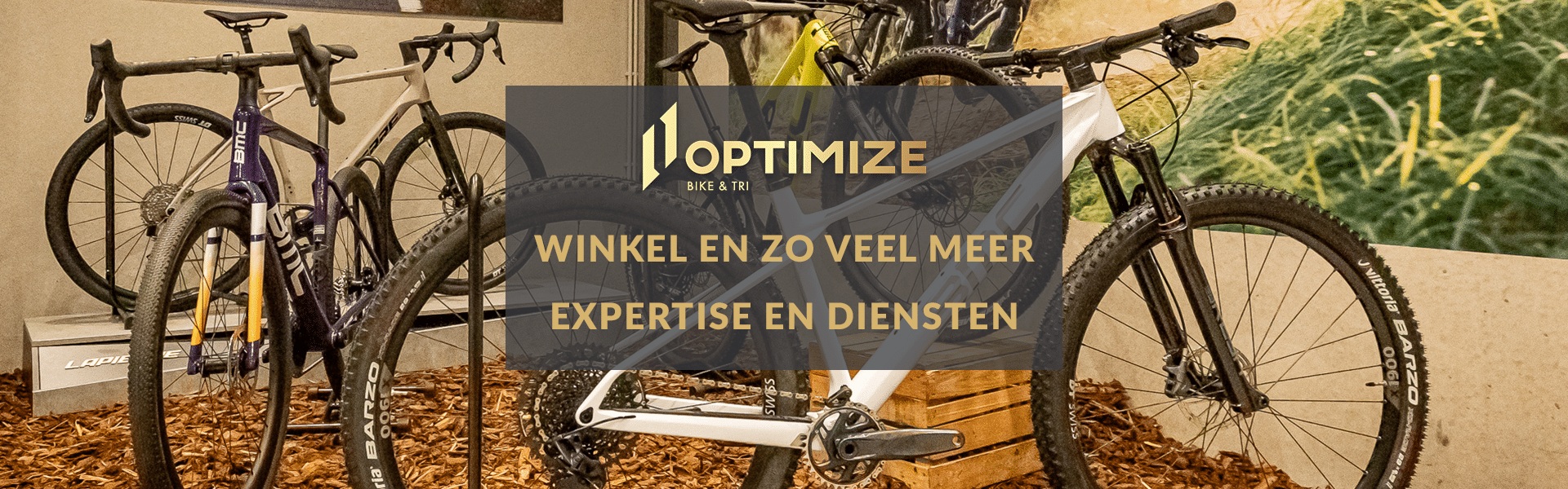 Optimize Expertise en diensten