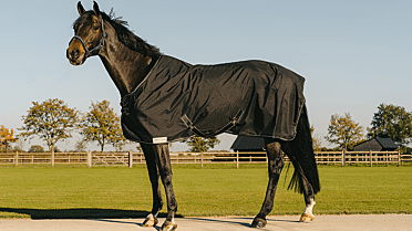 Zich verzetten tegen Likeur Toestemming Alle soorten dekens vindt u bij Emmers Equestrian