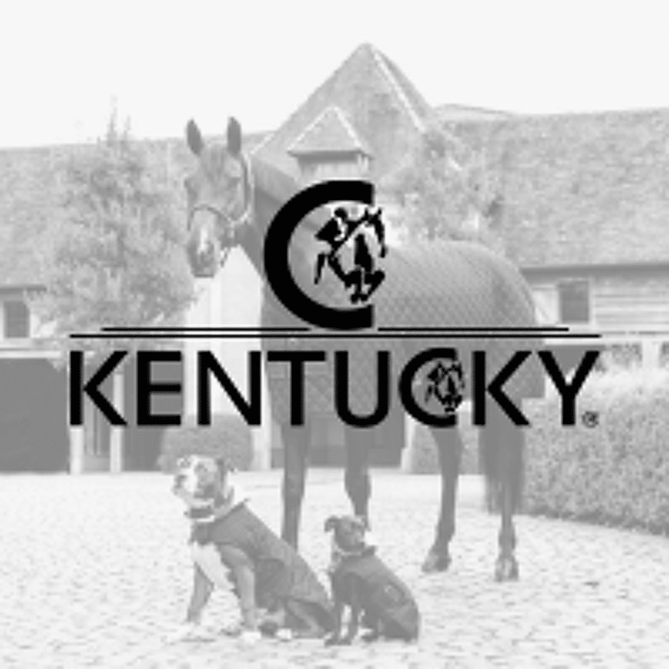 Sous-bandes travail cheval Kentucky - Kentucky - Le Paturon