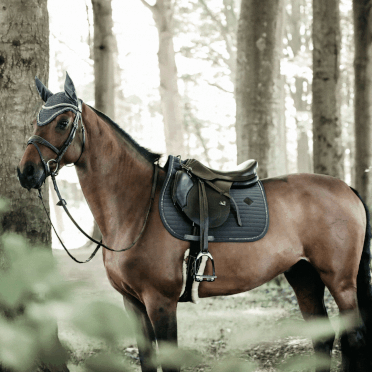 Set de pansage Horse Academy pour cheval