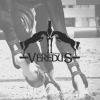 Veredus