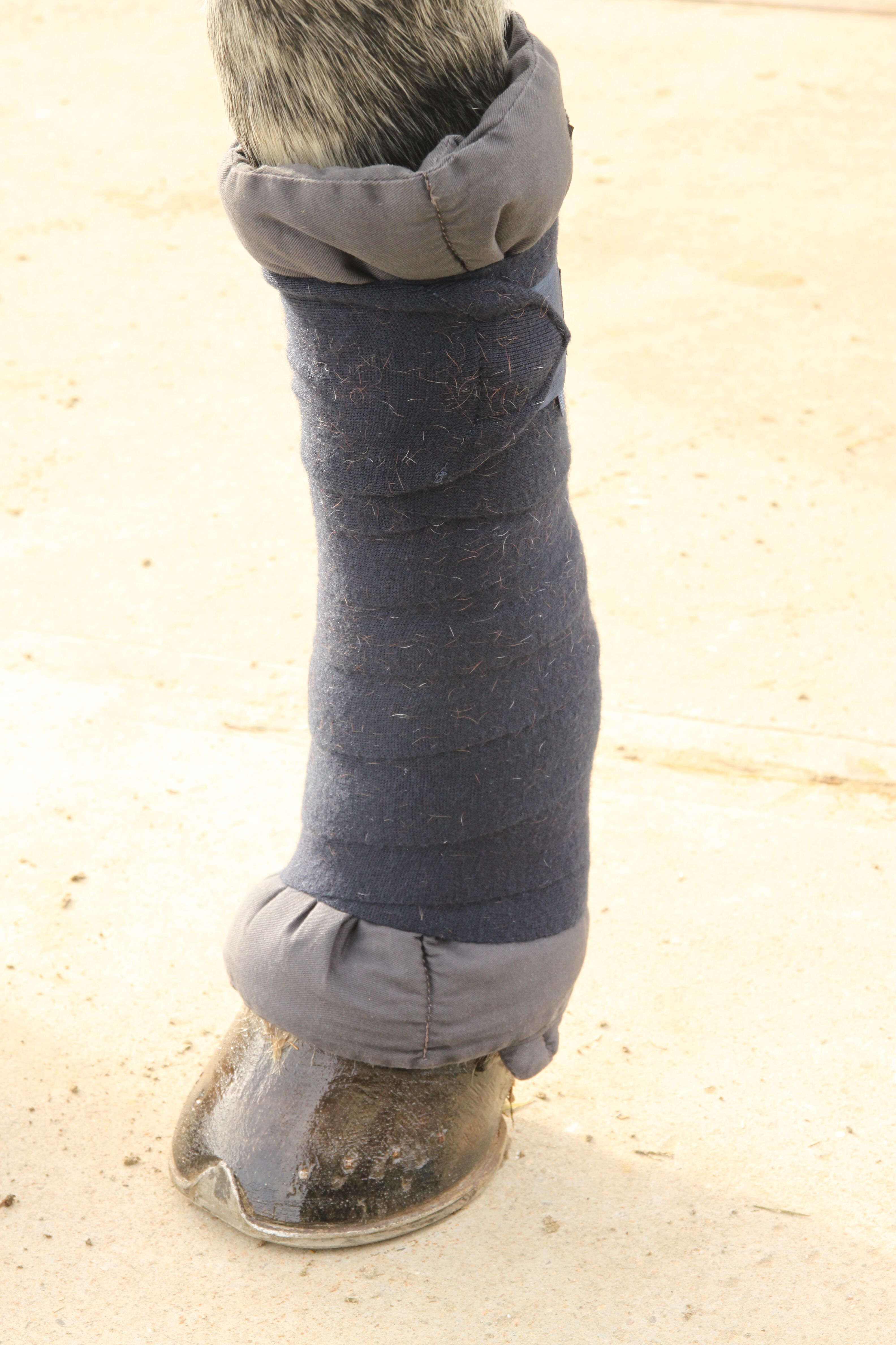 peesbeschermers Classic voorbenen - Paardensport