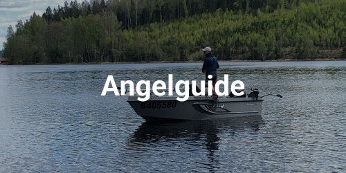 angelguide angelguide