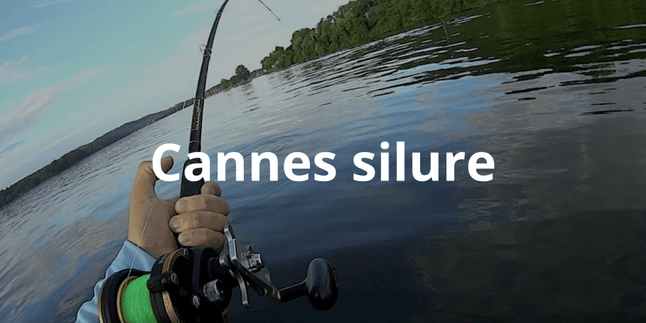 Cannes Silure Cannes Silure
