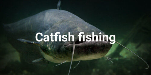 Catfish fishing tackle