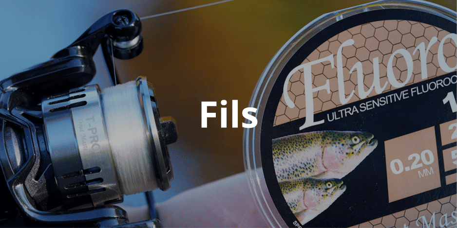 fils truite fils truite