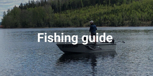 Fishing guide