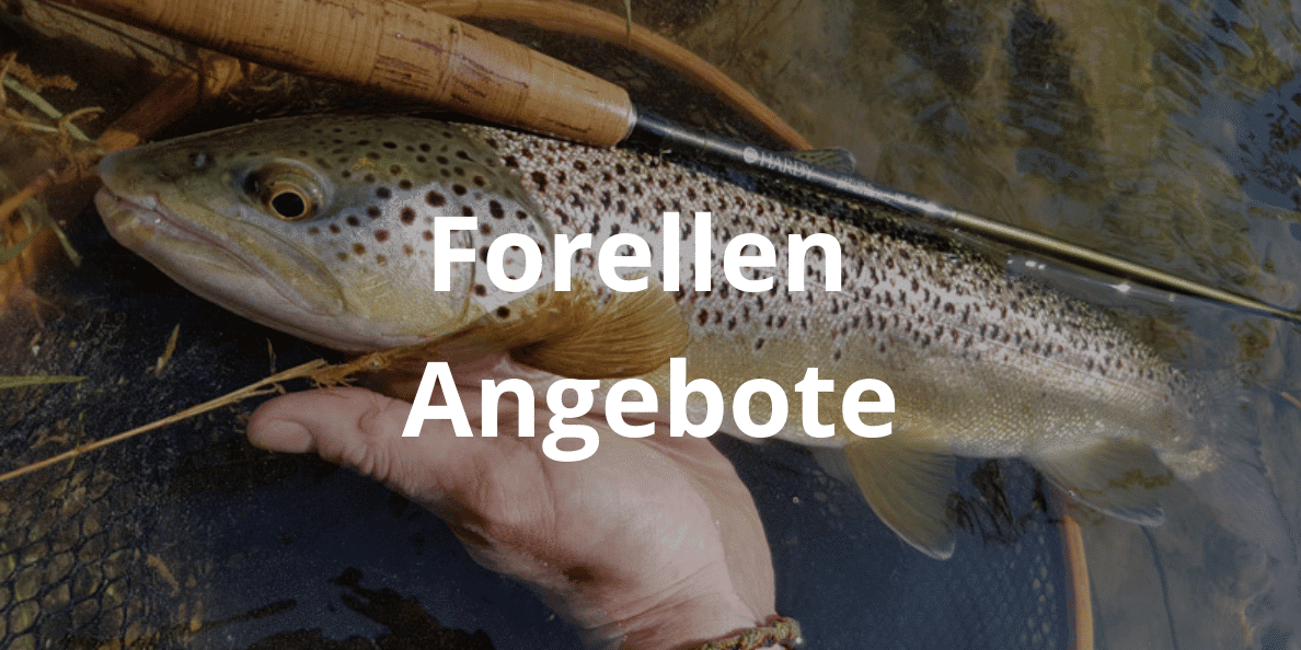 forellenangeln angebote