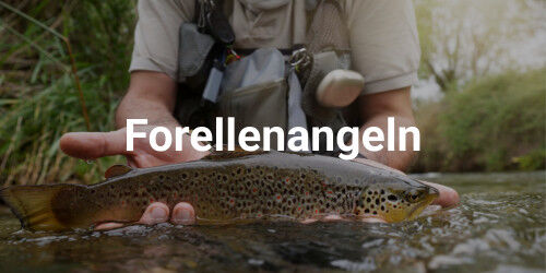 forellenangeln forellenangeln