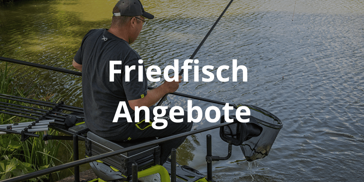 friedfisch angebote