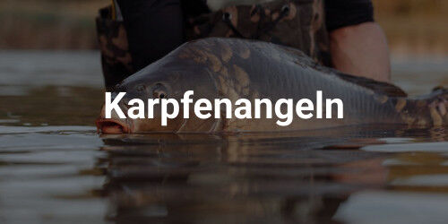 karpfenangeln karpfenangeln