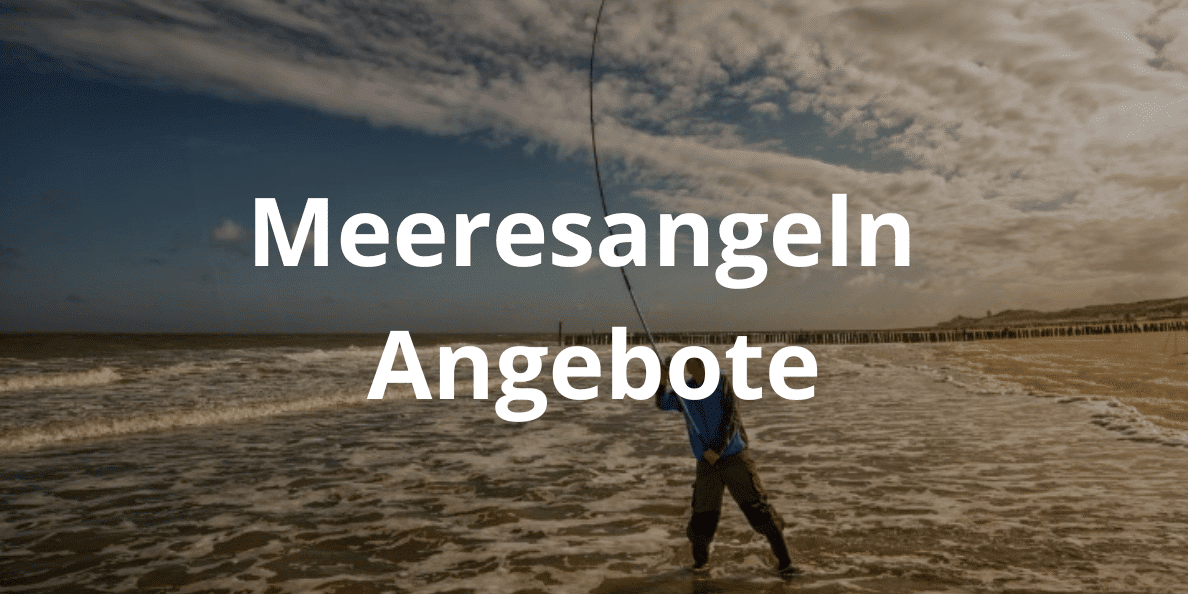 meeresangeln angebote
