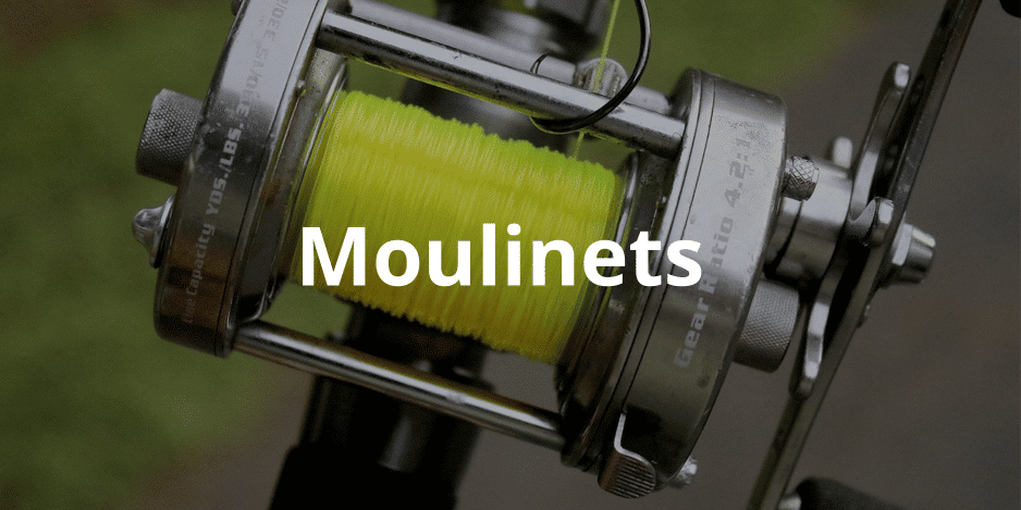 Moulinets silure Moulinets silure