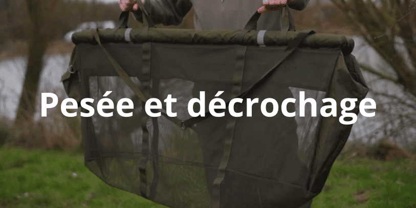 pesee-decrochage pesee-decrochage